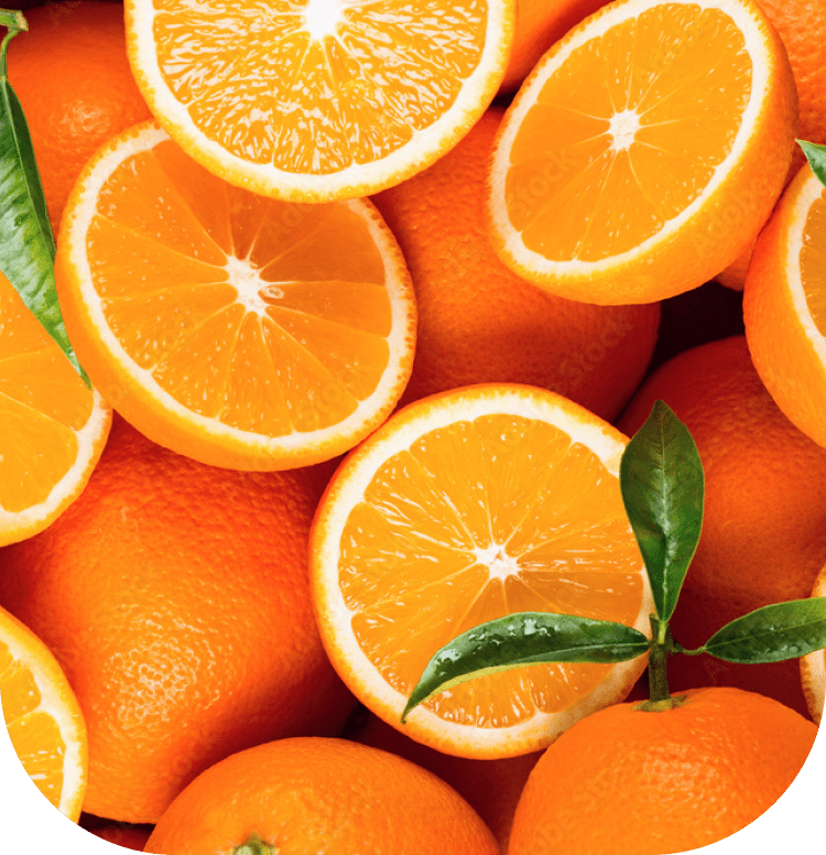 水浅青果株式会社