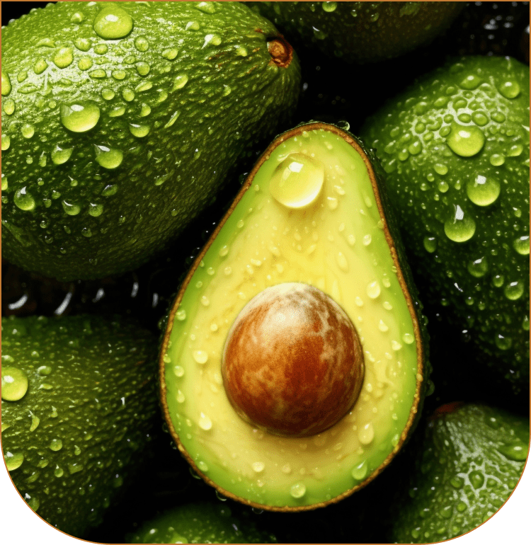 水浅青果株式会社