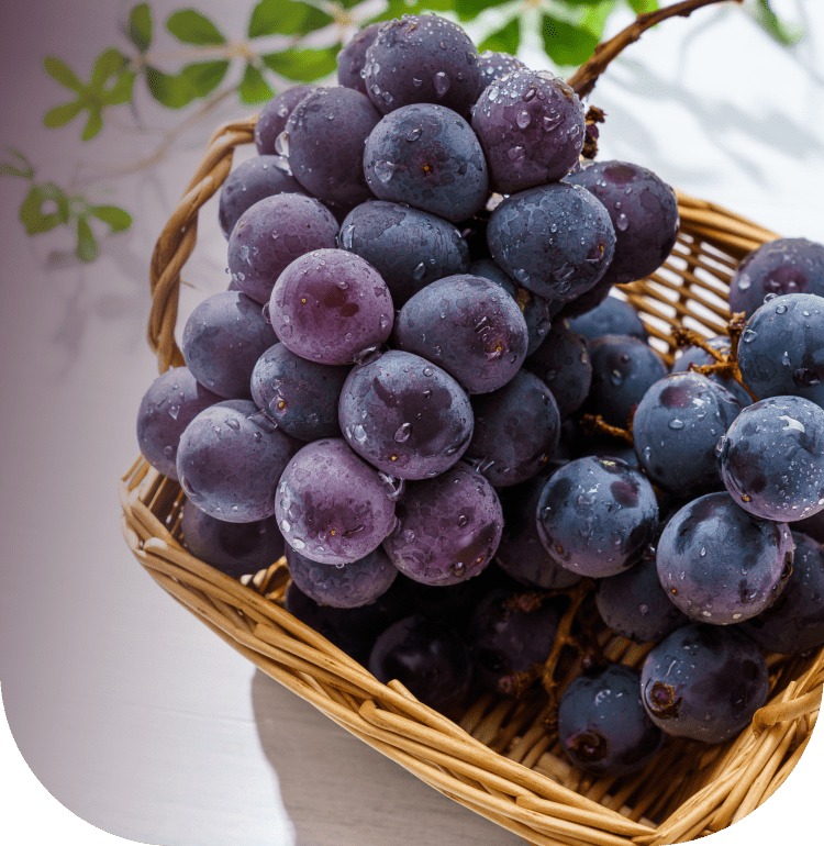 水浅青果株式会社