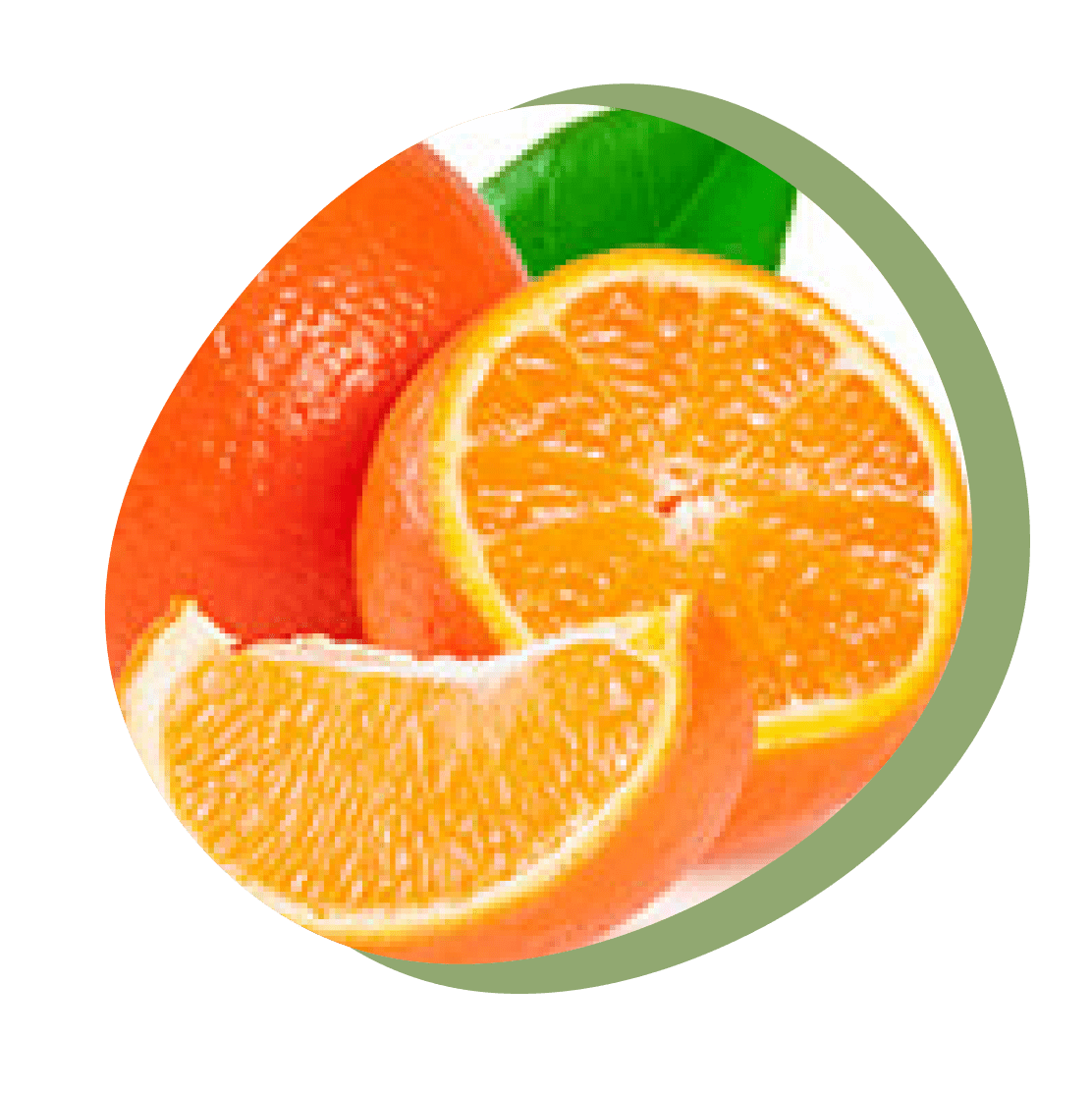 水浅青果株式会社