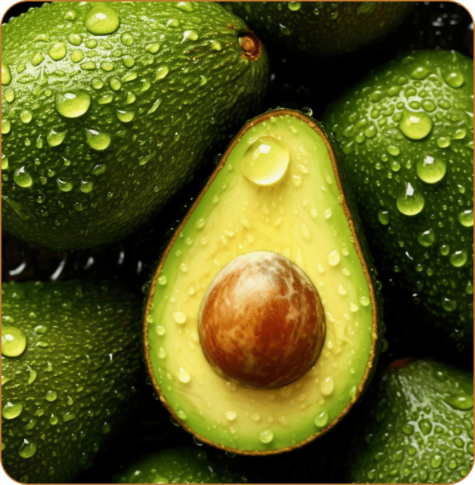 水浅青果株式会社