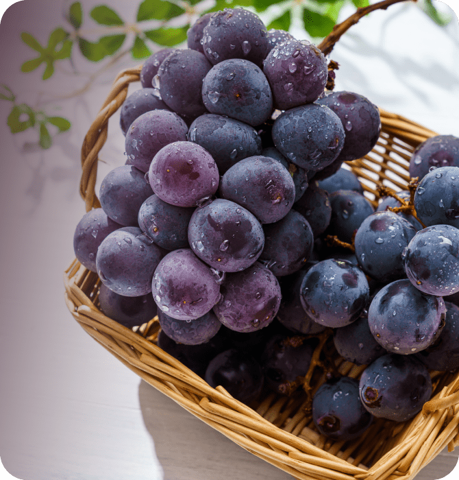 水浅青果株式会社