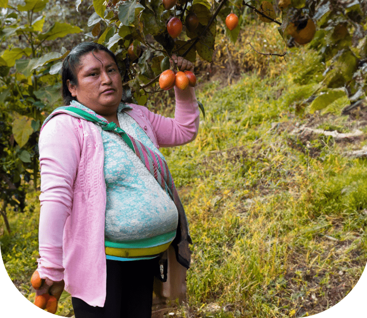 水浅青果株式会社