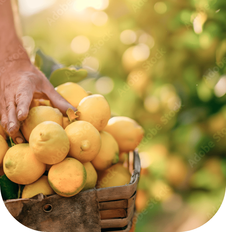 水浅青果株式会社