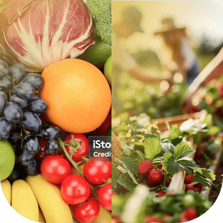 水浅青果株式会社