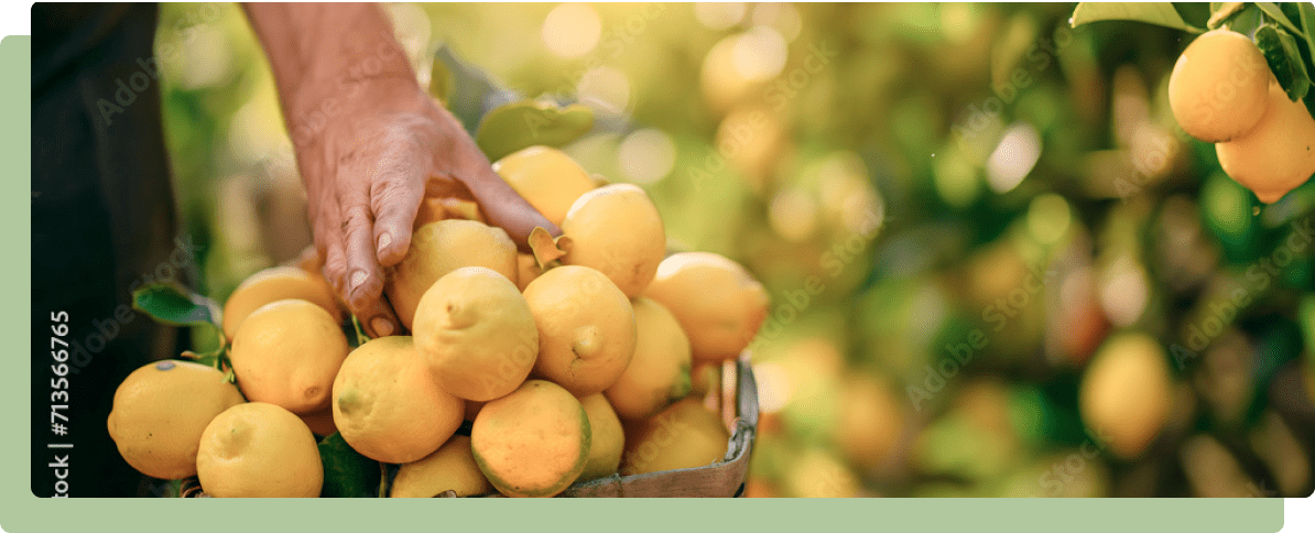 水浅青果株式会社